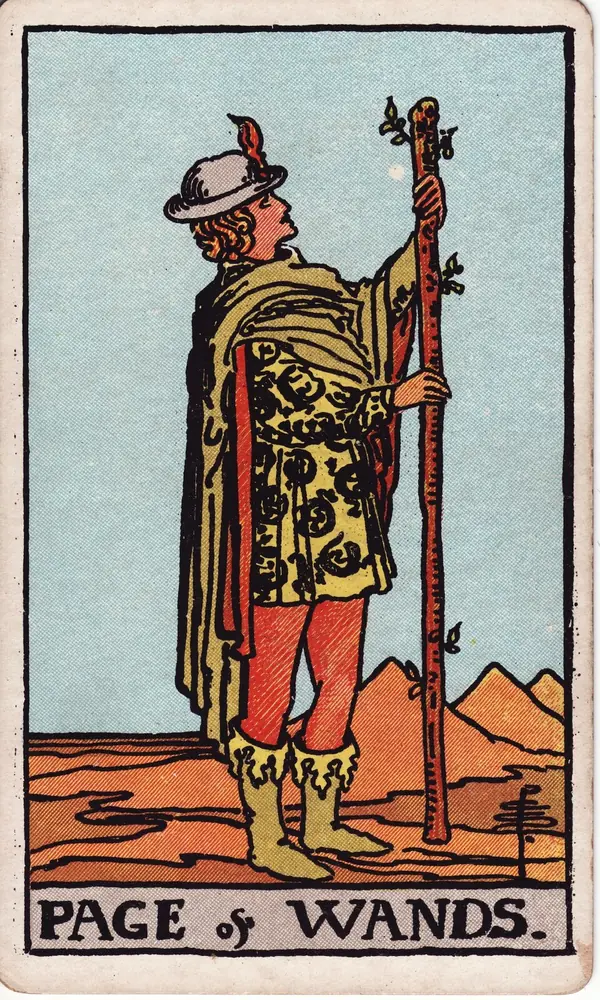 Page of Wands, from the Rider-Waite-Smith tarot deck