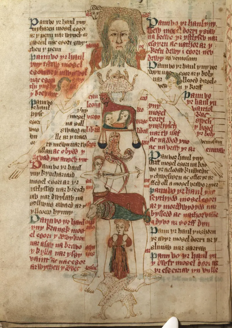 A medieval manuscript page showing the Zodiac Man, a figure with each sign of the zodiac placed on a part of the body